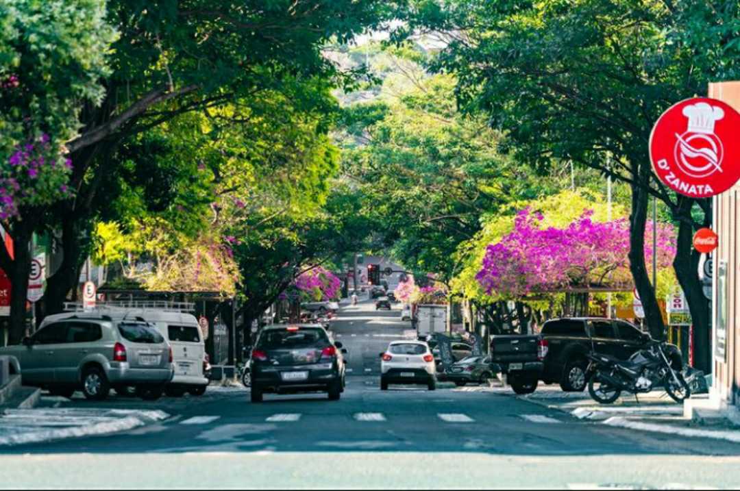Avenida Brasil 