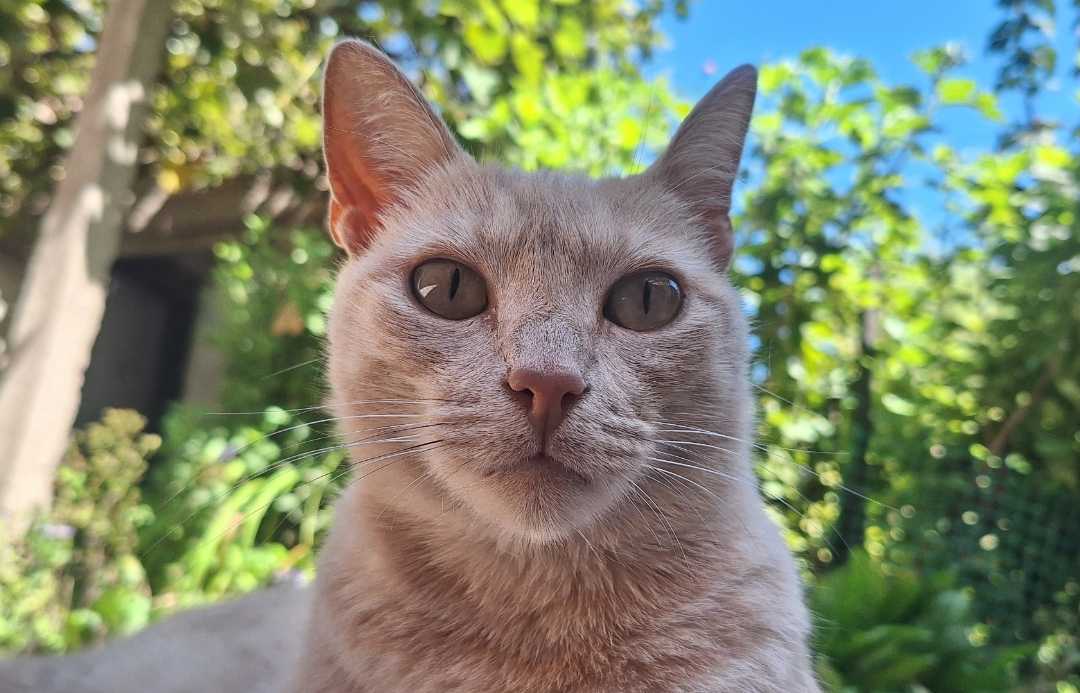 Caty 🐱
