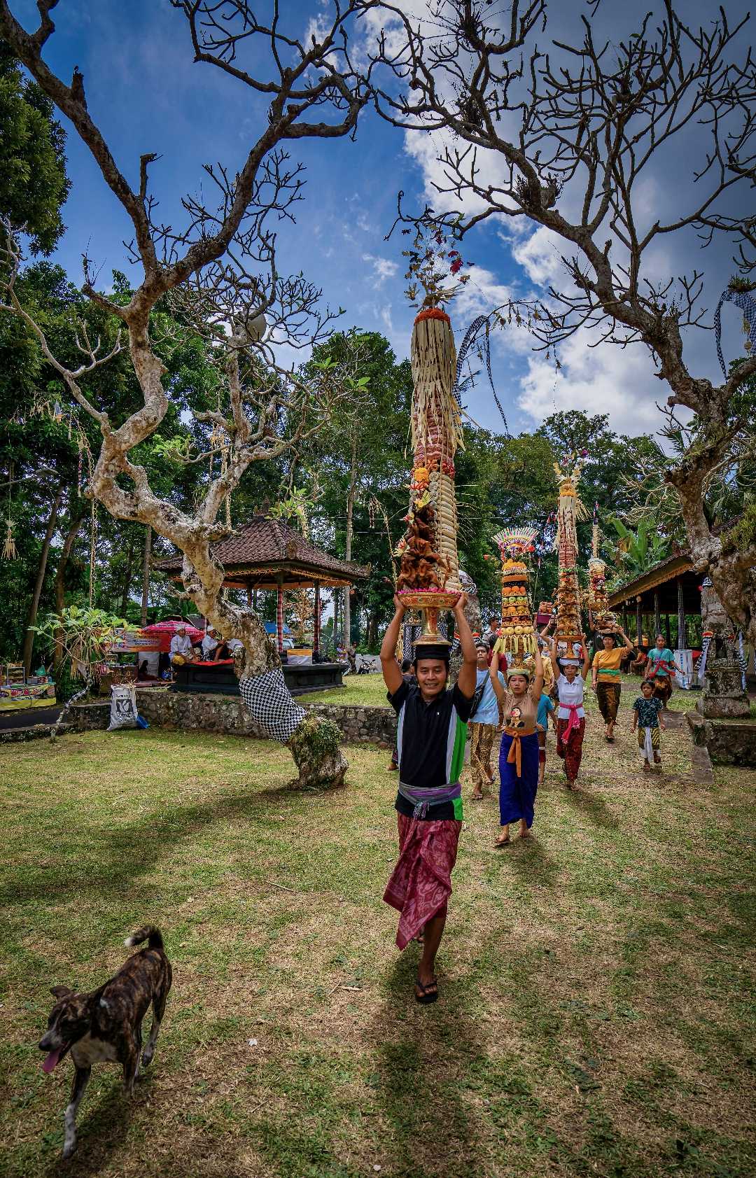 Alam dan Budaya Bali yang Indah 