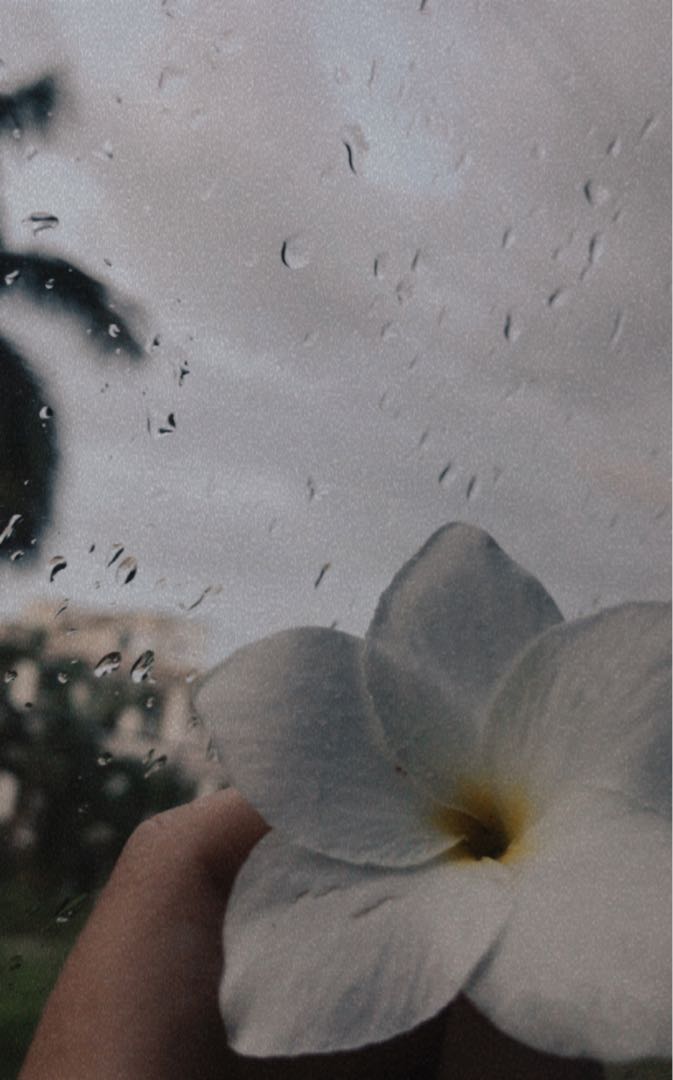 🌧 