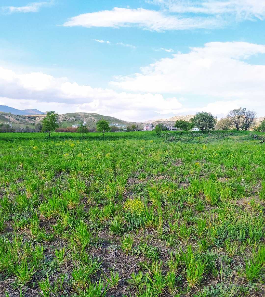 doğa🌿💮