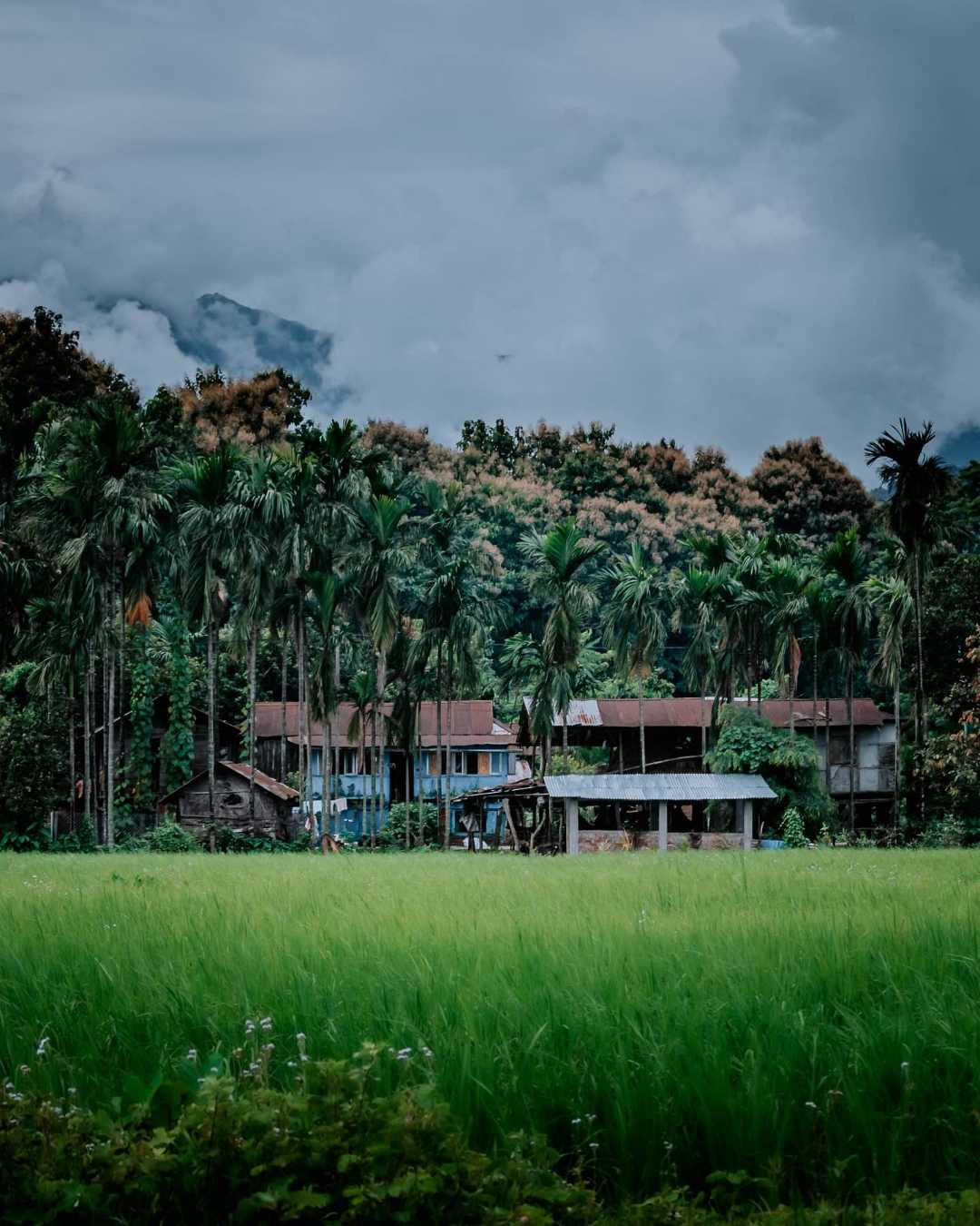 North Bengal ❤️