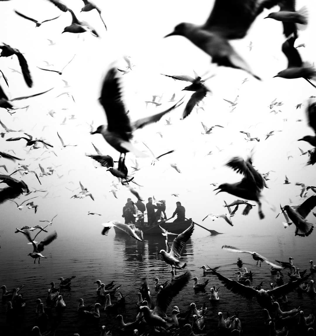 Migrate birds in yamuna ghat, black and white photography 
