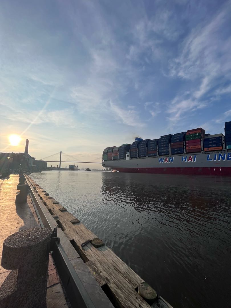 Puerto de Savannah