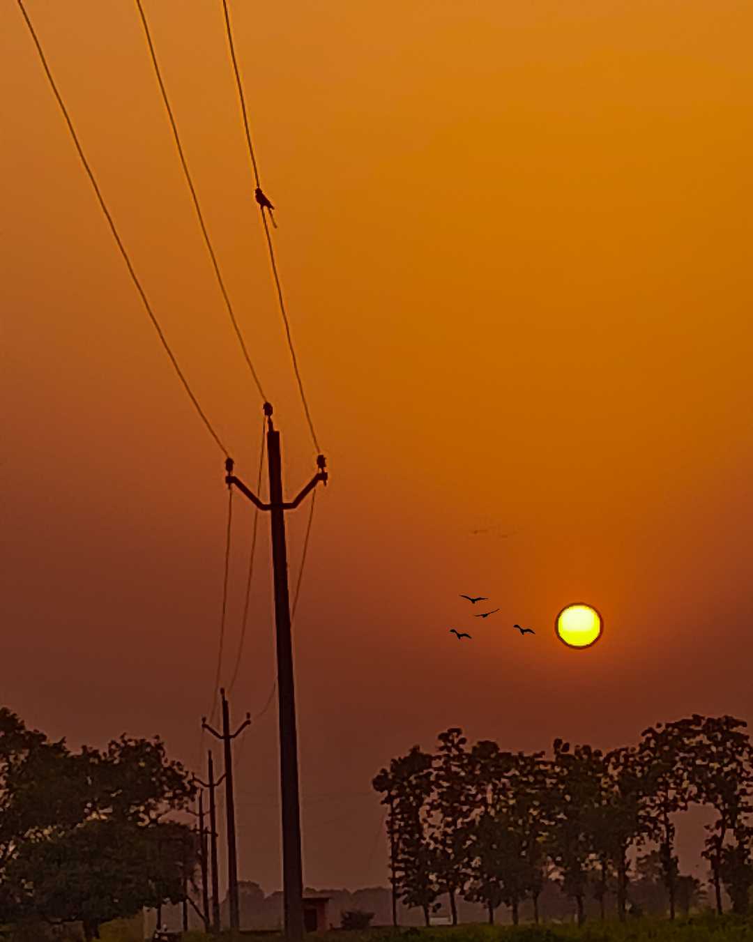sunset of my village 