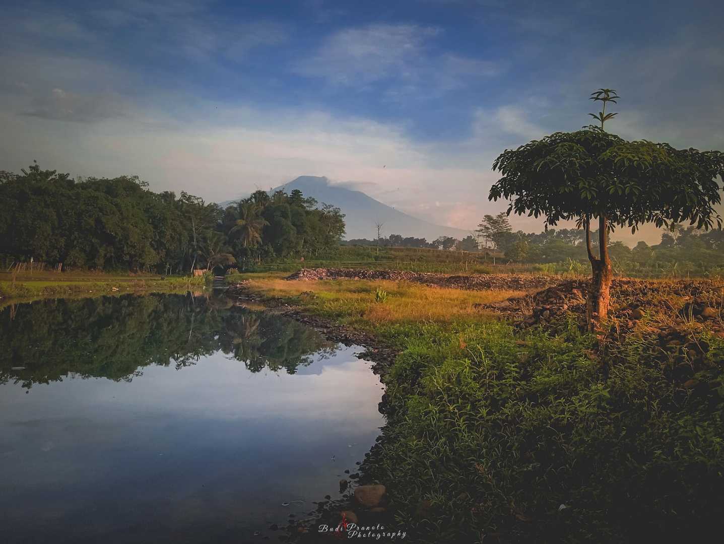 Landscape