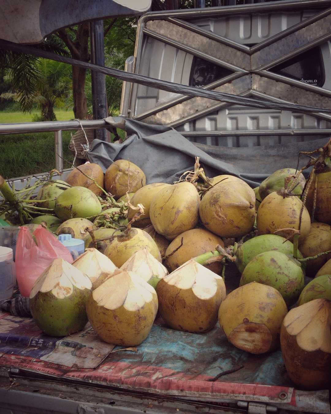 Kelapa Muda