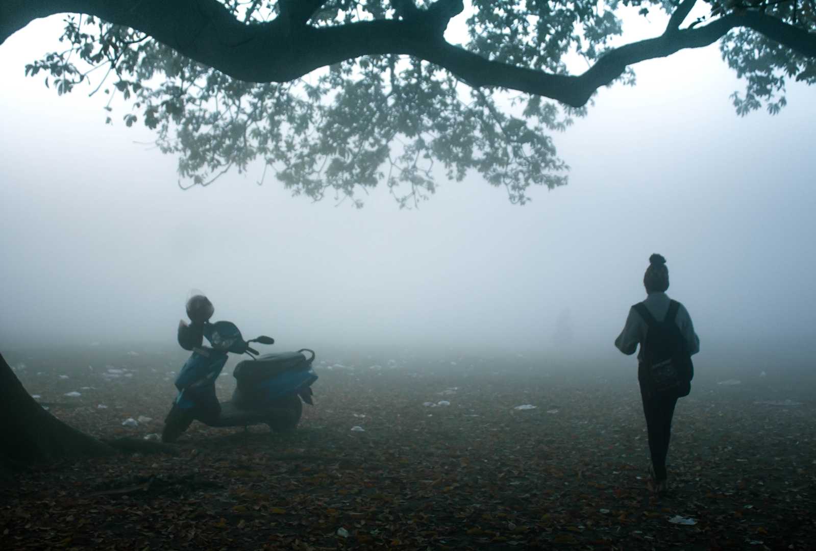 Misty Morning