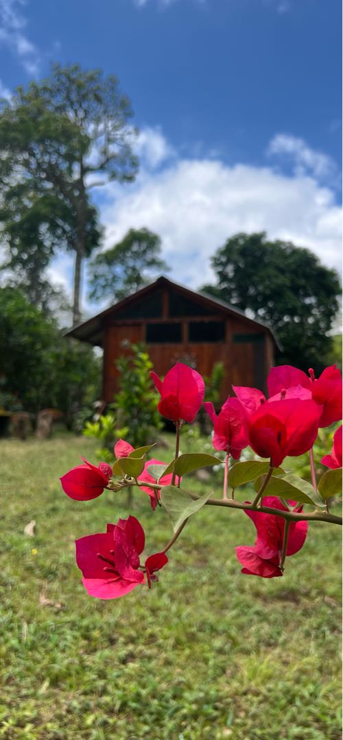 cabañas