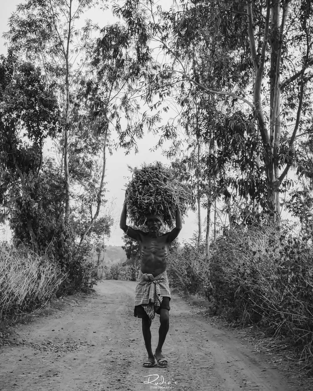 daily life of a Farmar pindle 