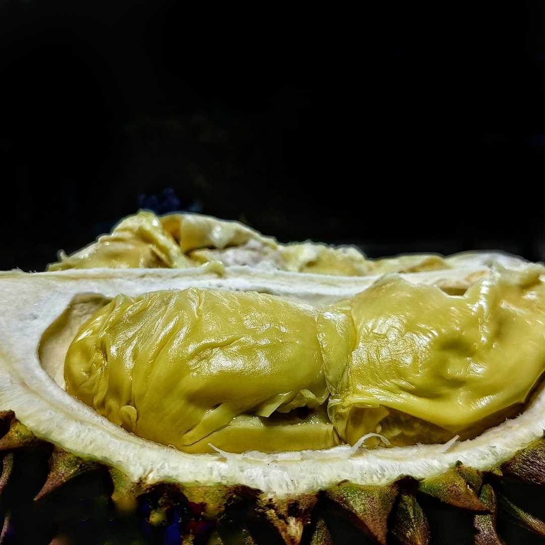 Durian