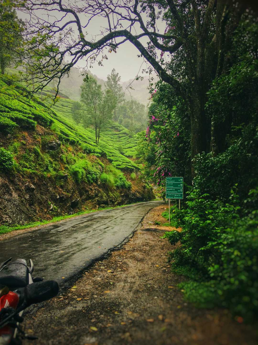 Kodaikanal 
