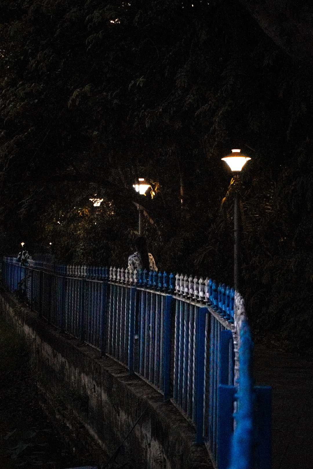 Evening and Nature park 🏞️