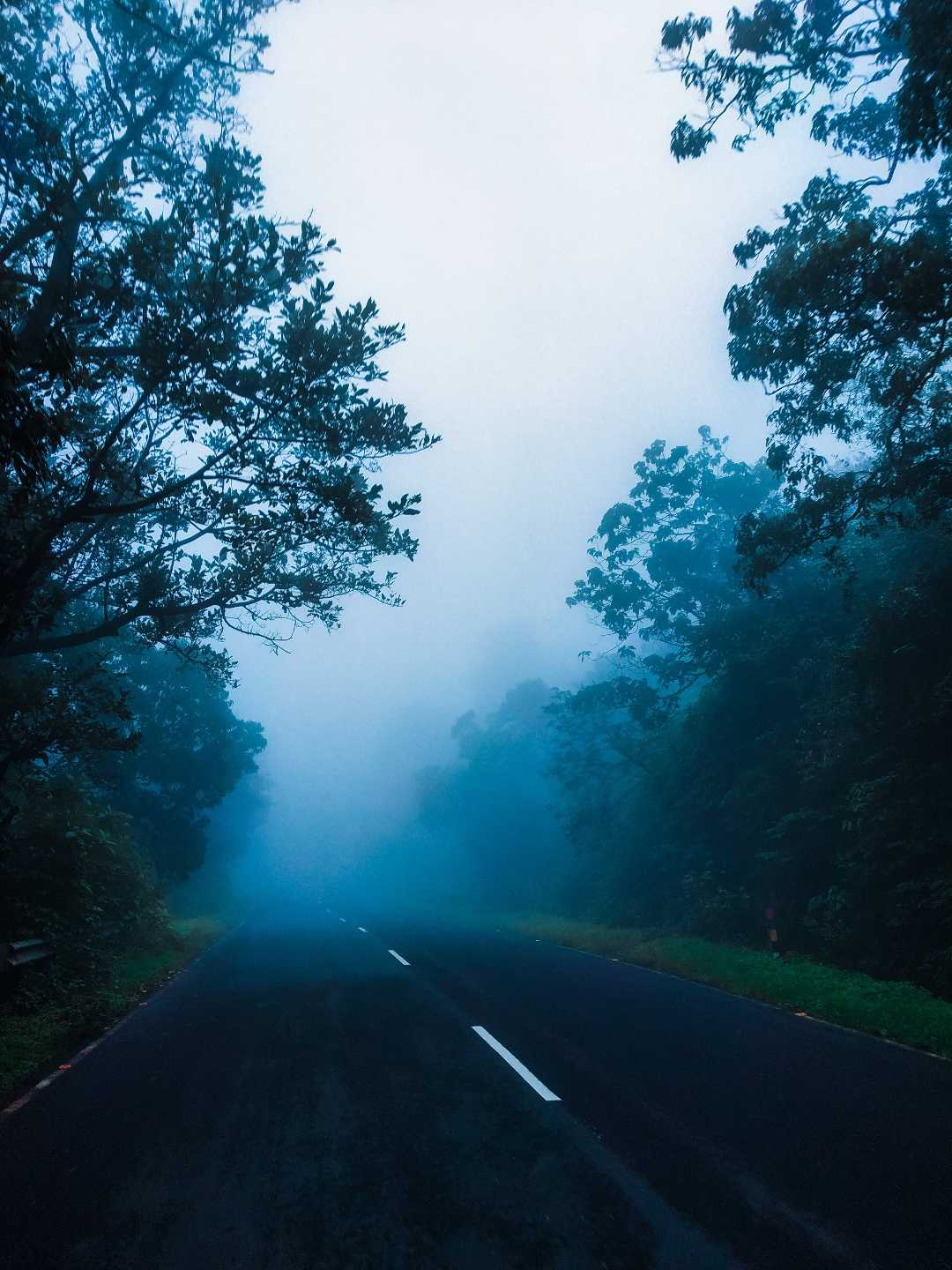 misty weather 😍