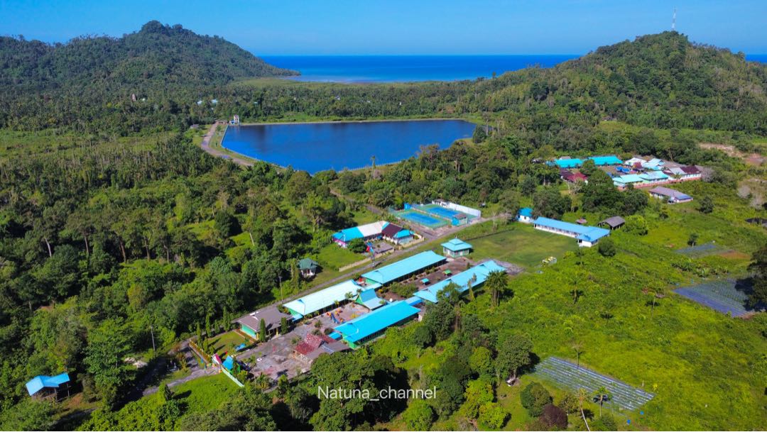 Sedanau
