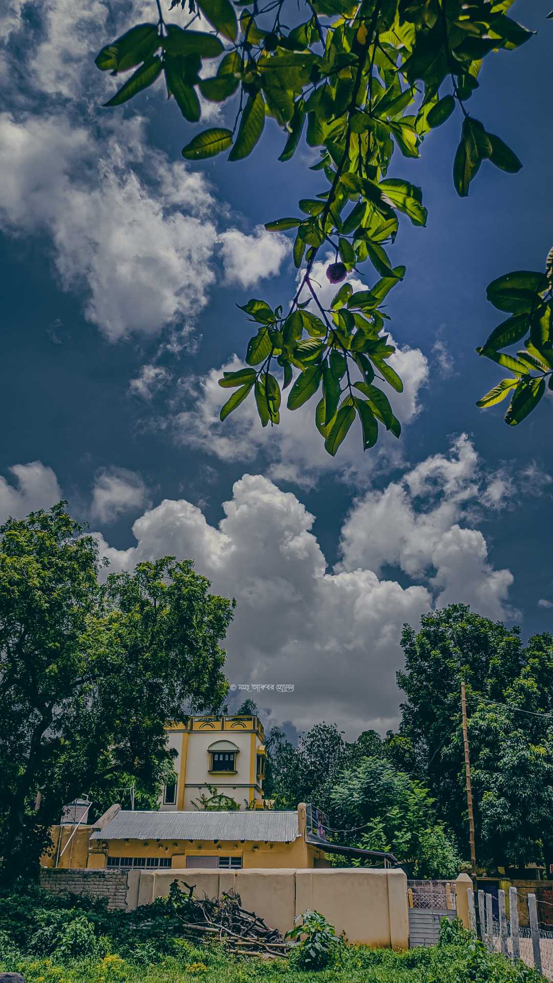 Nature inspires me the most