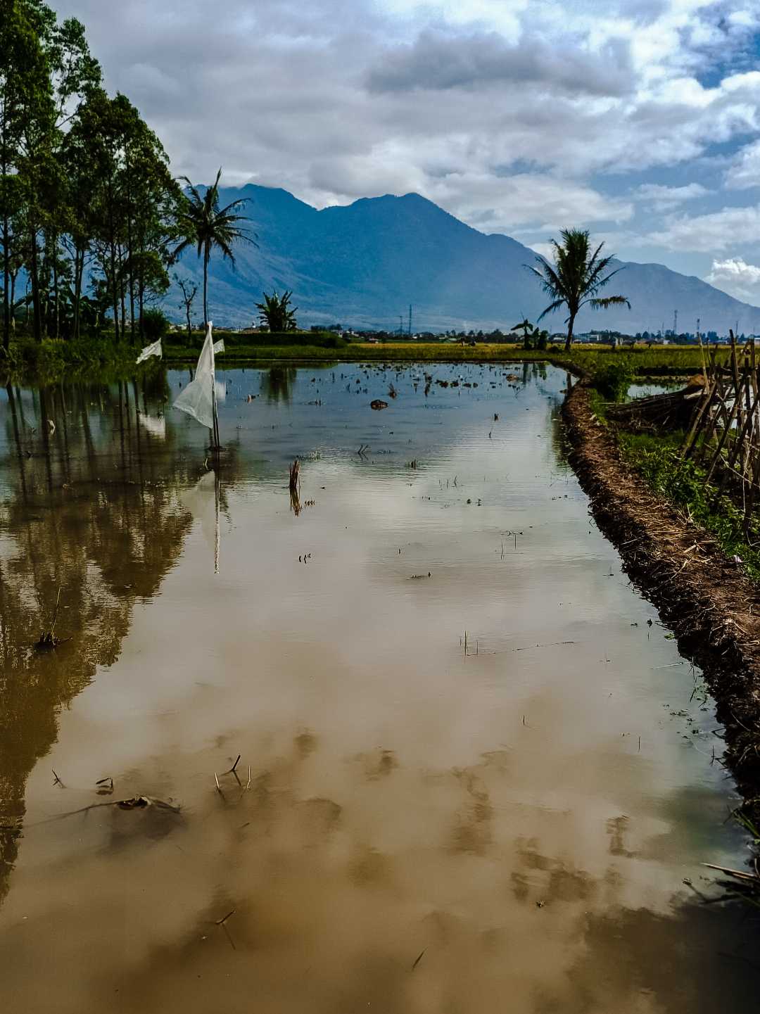 my village