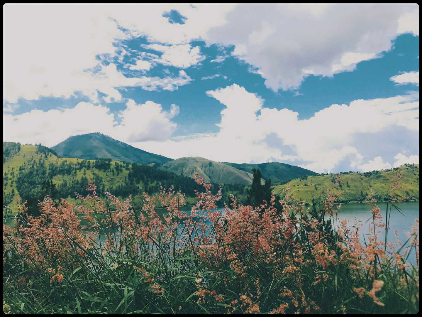Danau Toba