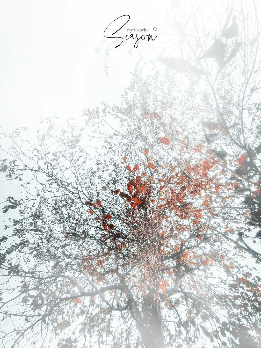winter morning🌞