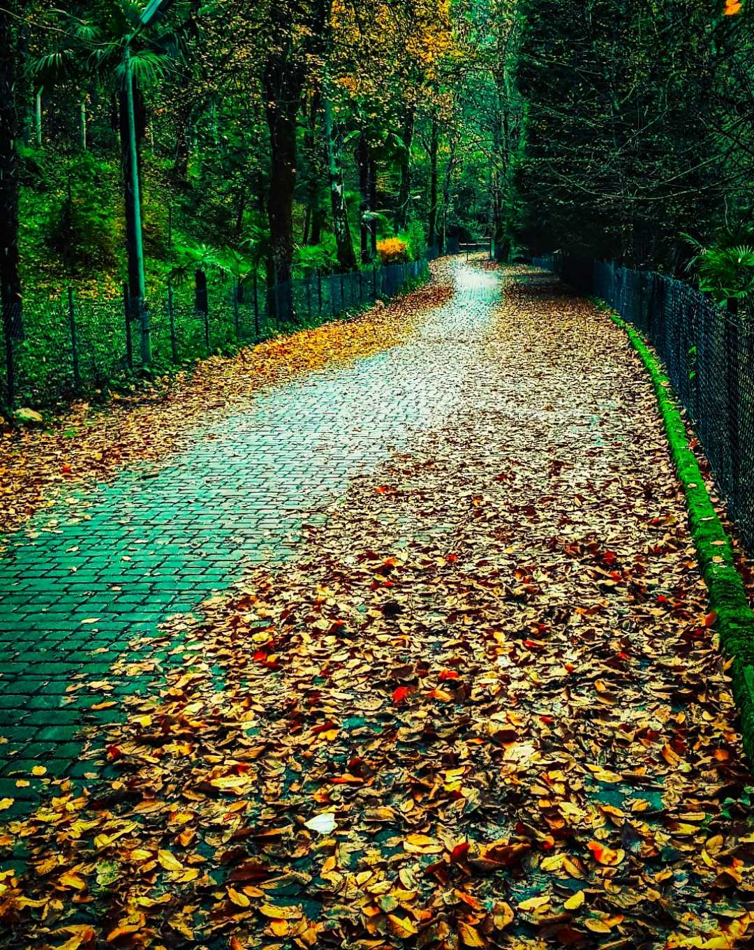 Yalova Termal yürüyüş yolu 