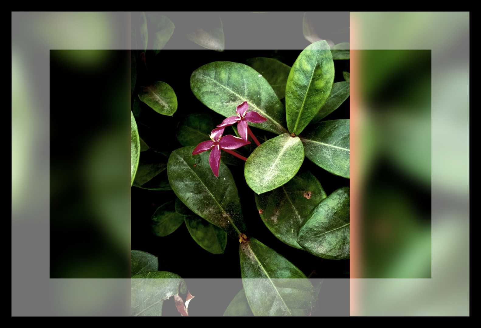 Today's click💫
