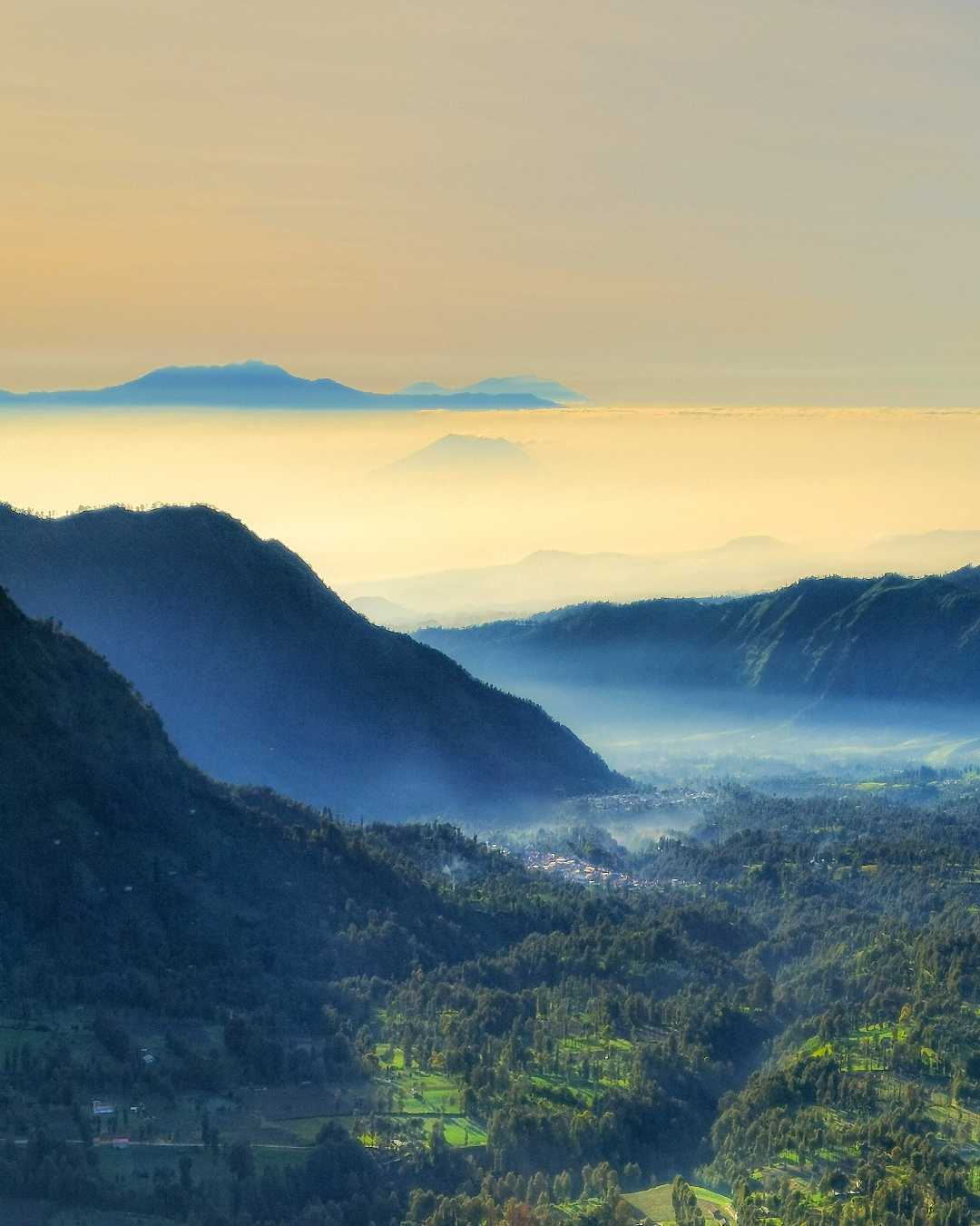 Misty morning