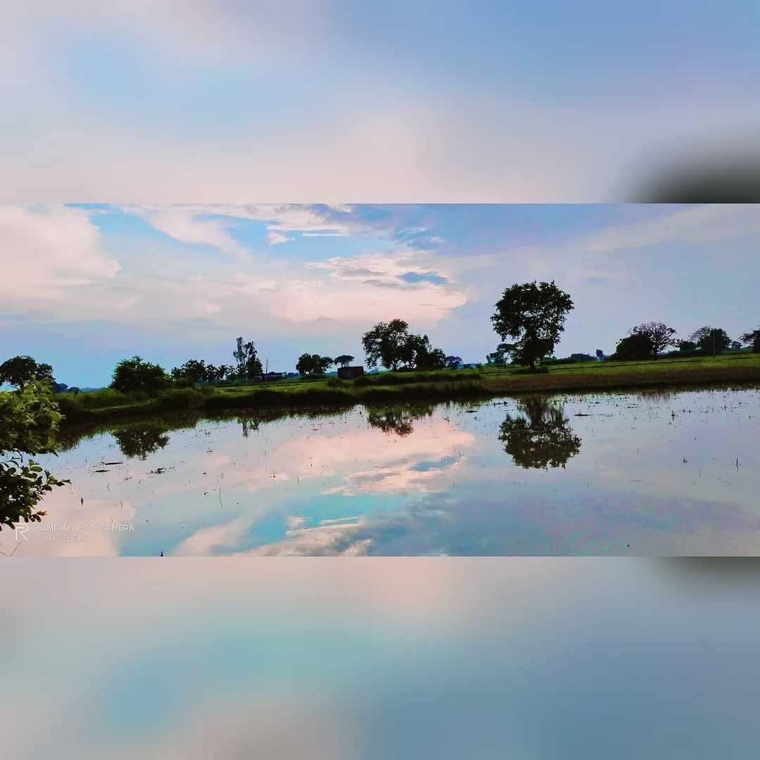 Mirror images