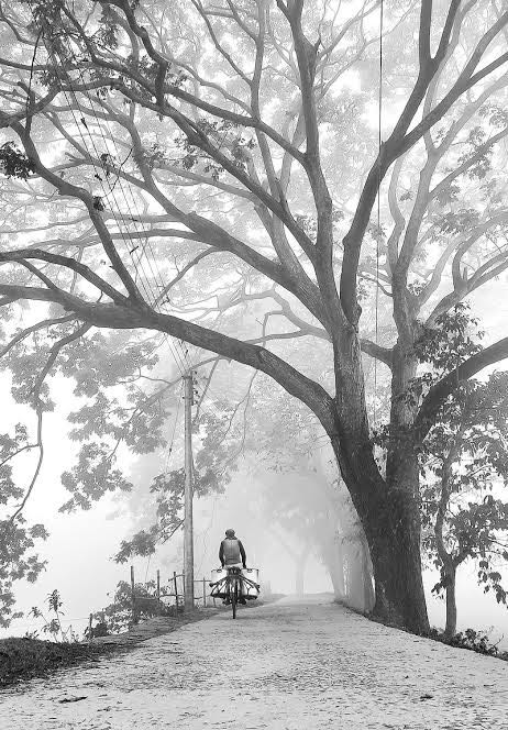 winter Morning 