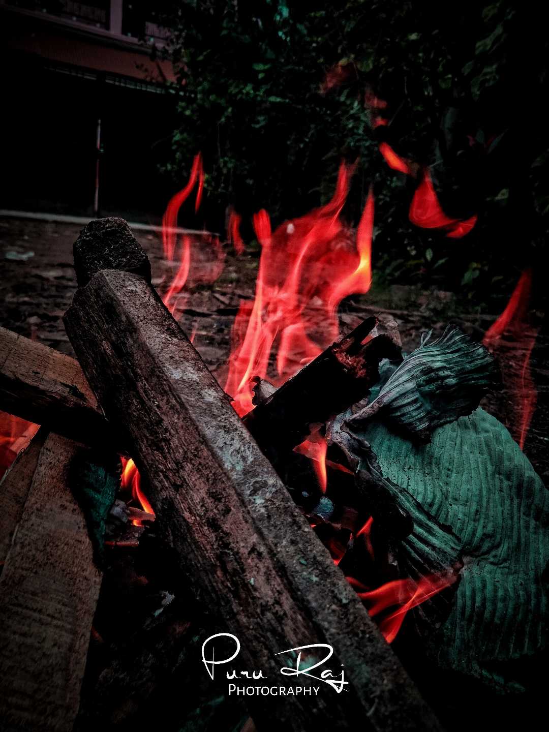Fire of wood 