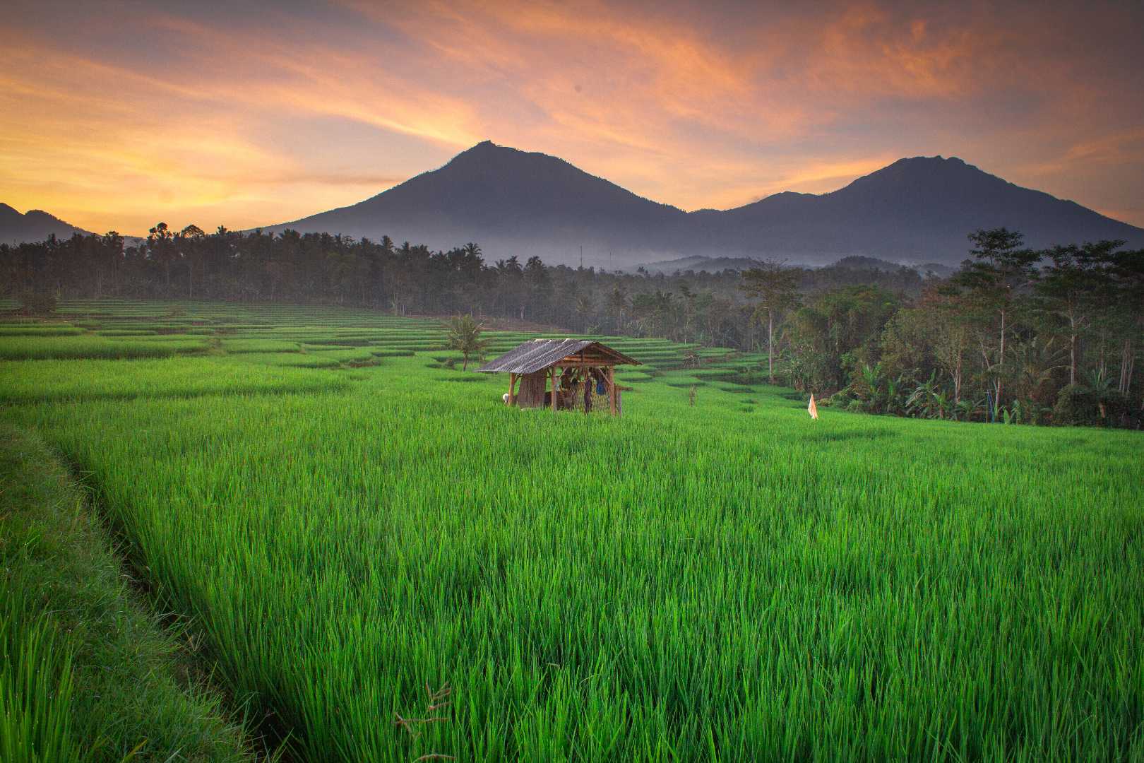songgo langi