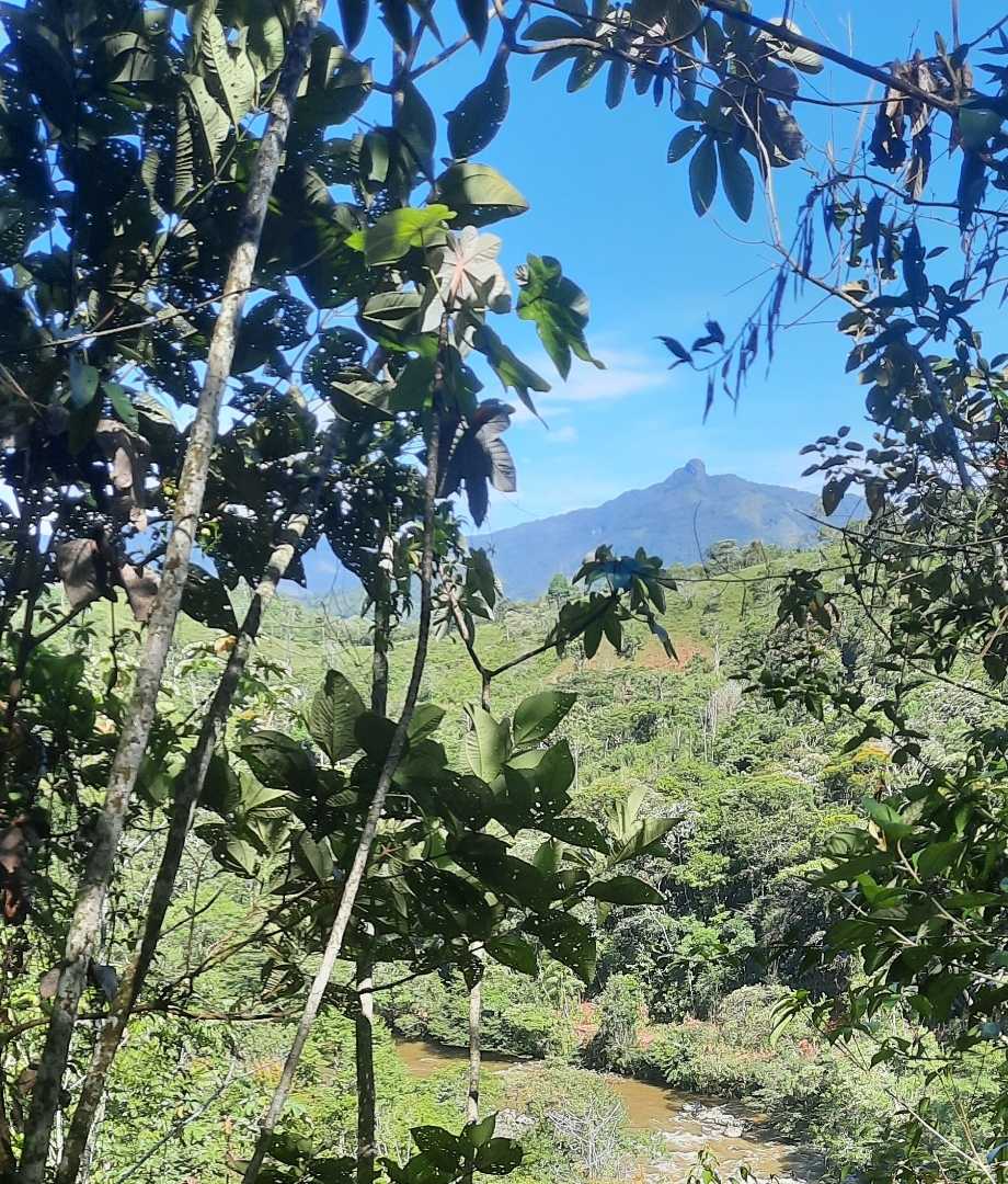 SAN CARLOS 🏞