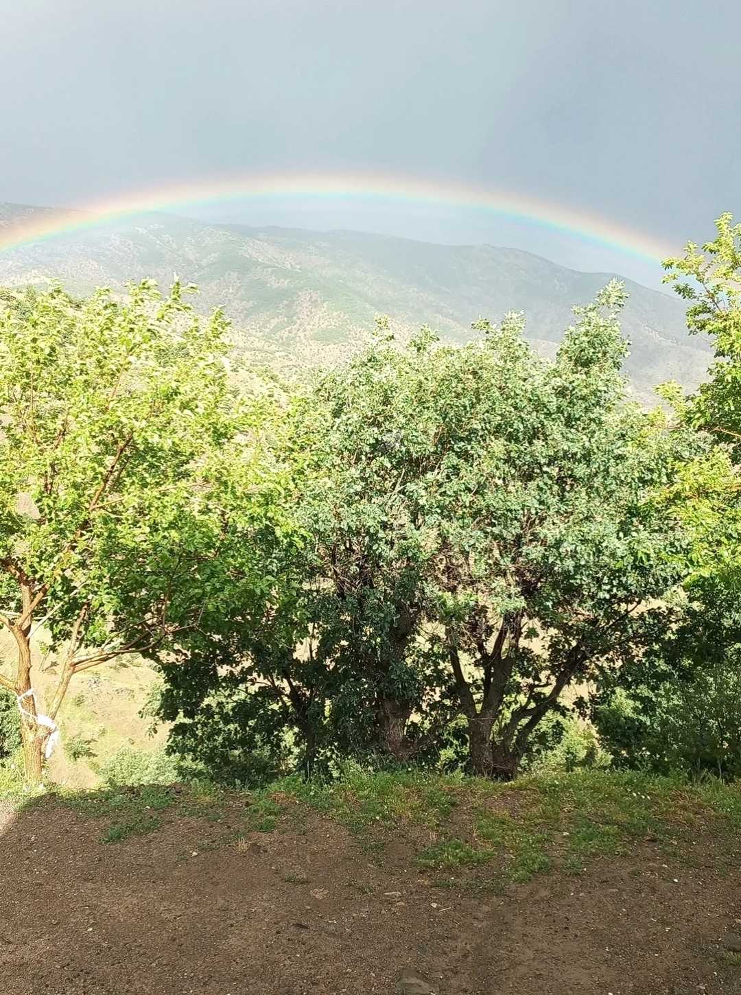 gökkuşağı 🌈