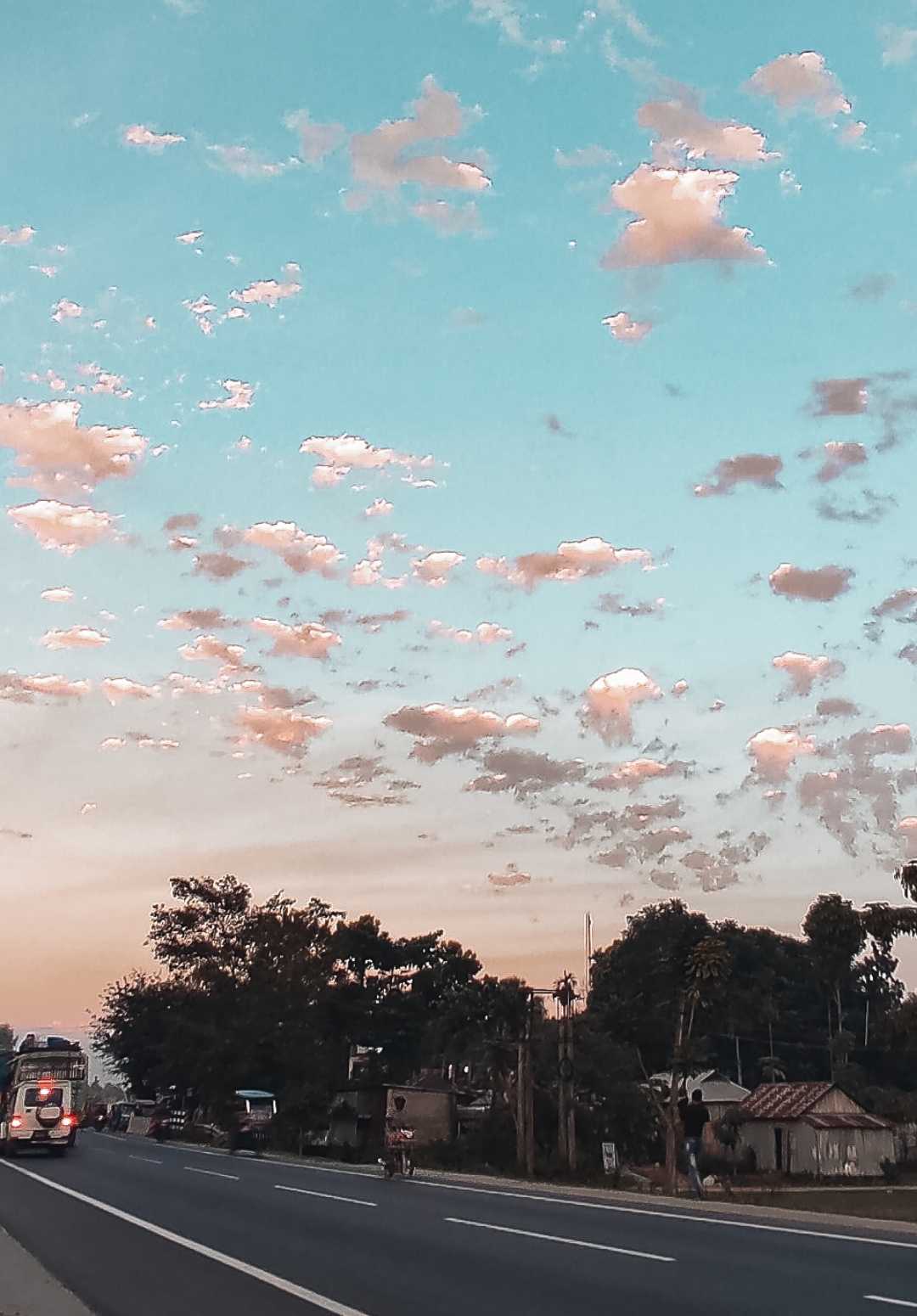 Nature Photography 