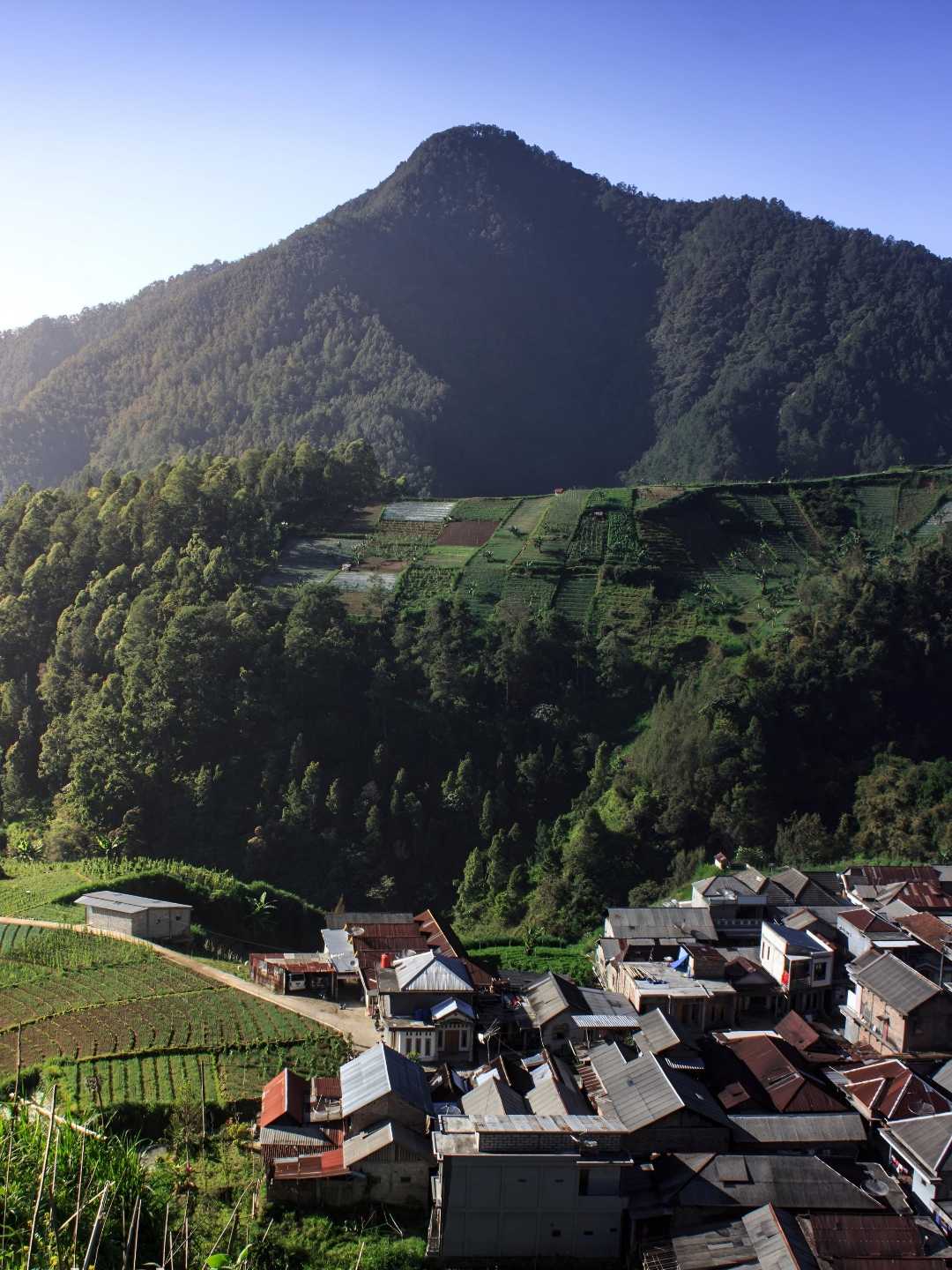 Wisata Wonomulyo