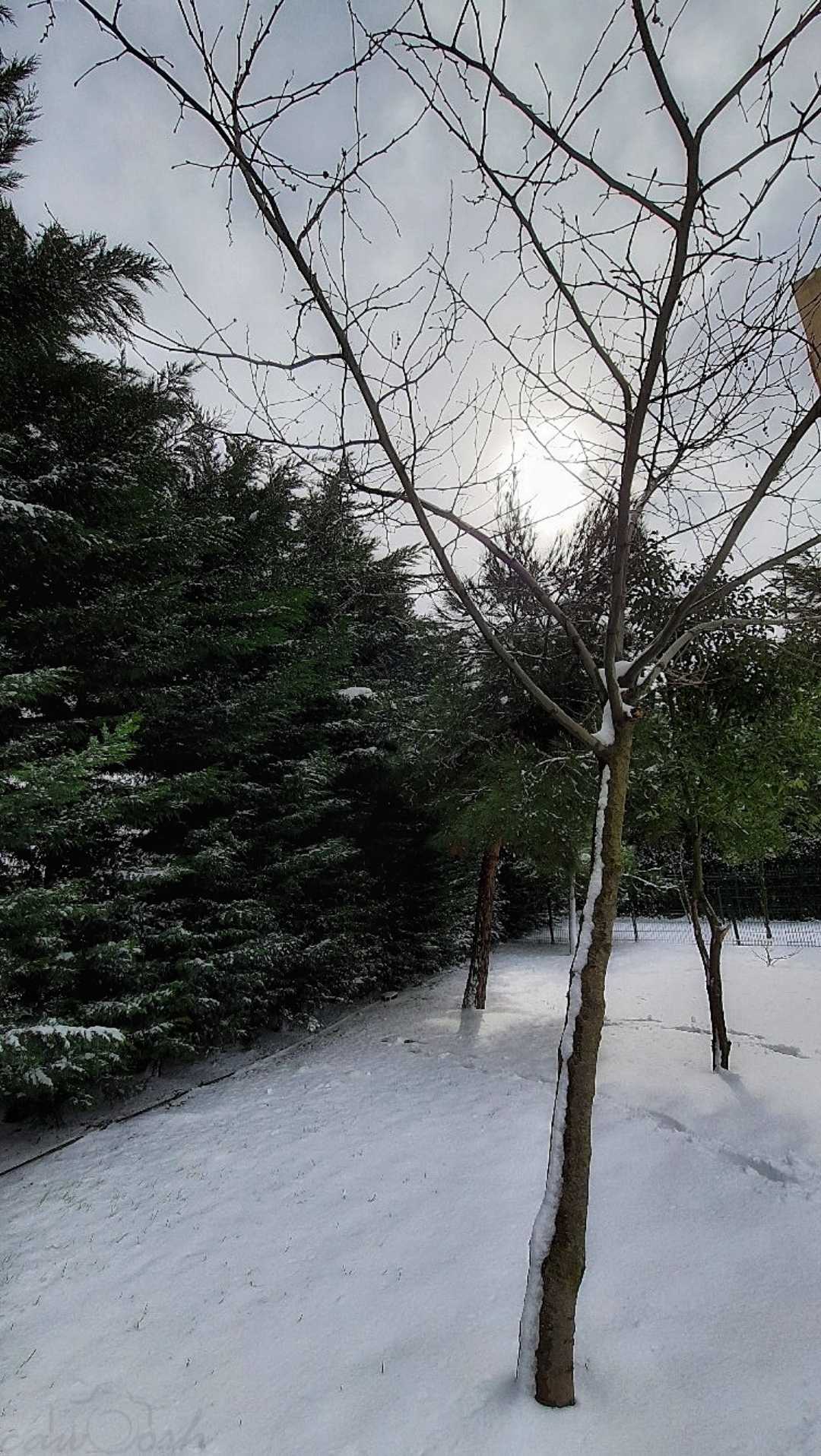 Karlı Günlerden 🌨️ 