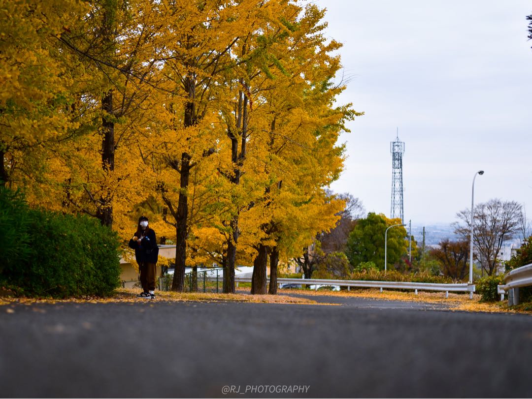 autumn vibes & street