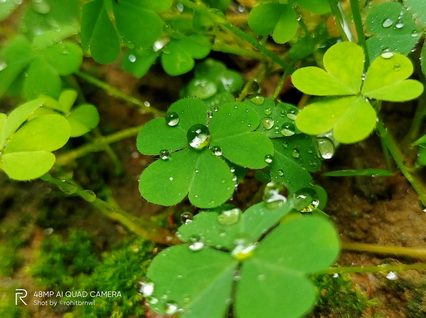 water drops 