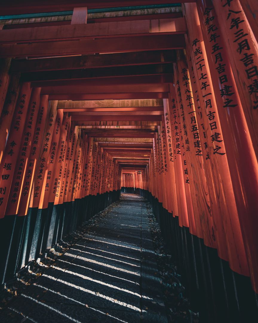 Orange torri gates tunnels at Fushimi inari-taisha⛩⛩