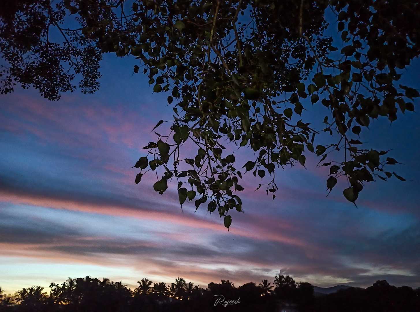 Evening💙