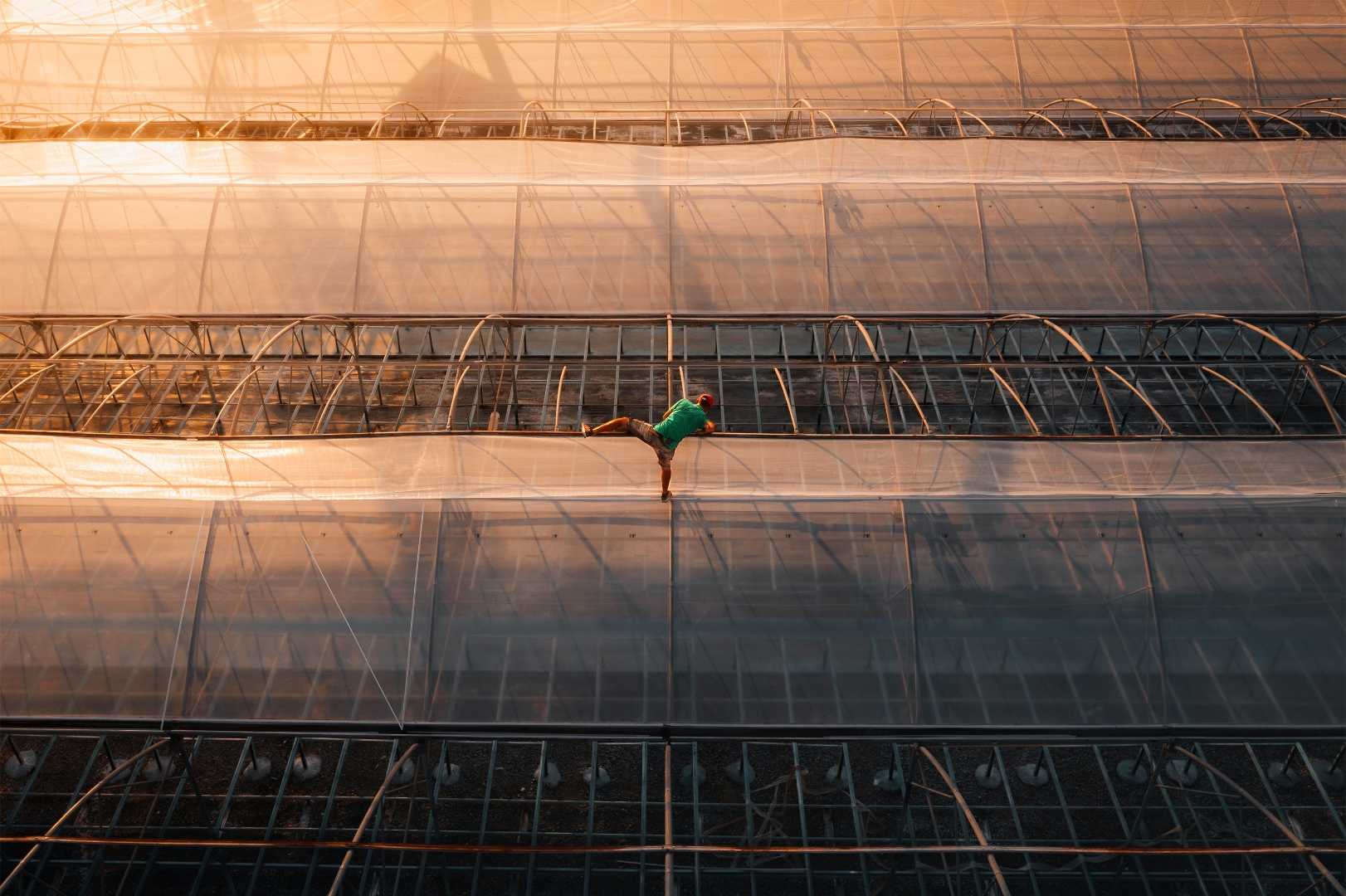 Greenhouse Repair