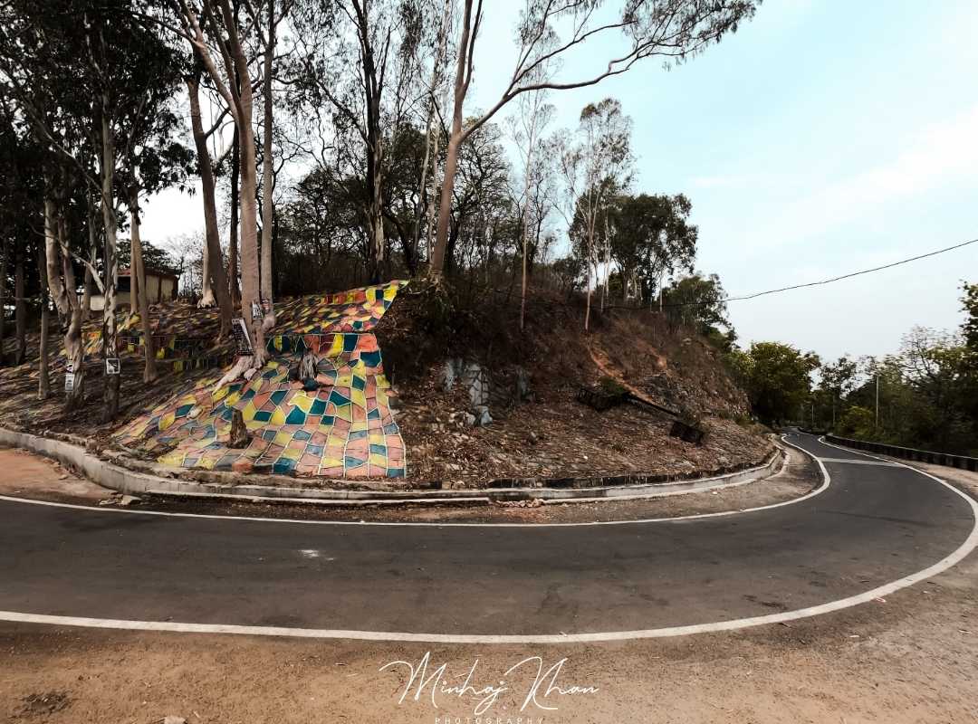 Curly Roads