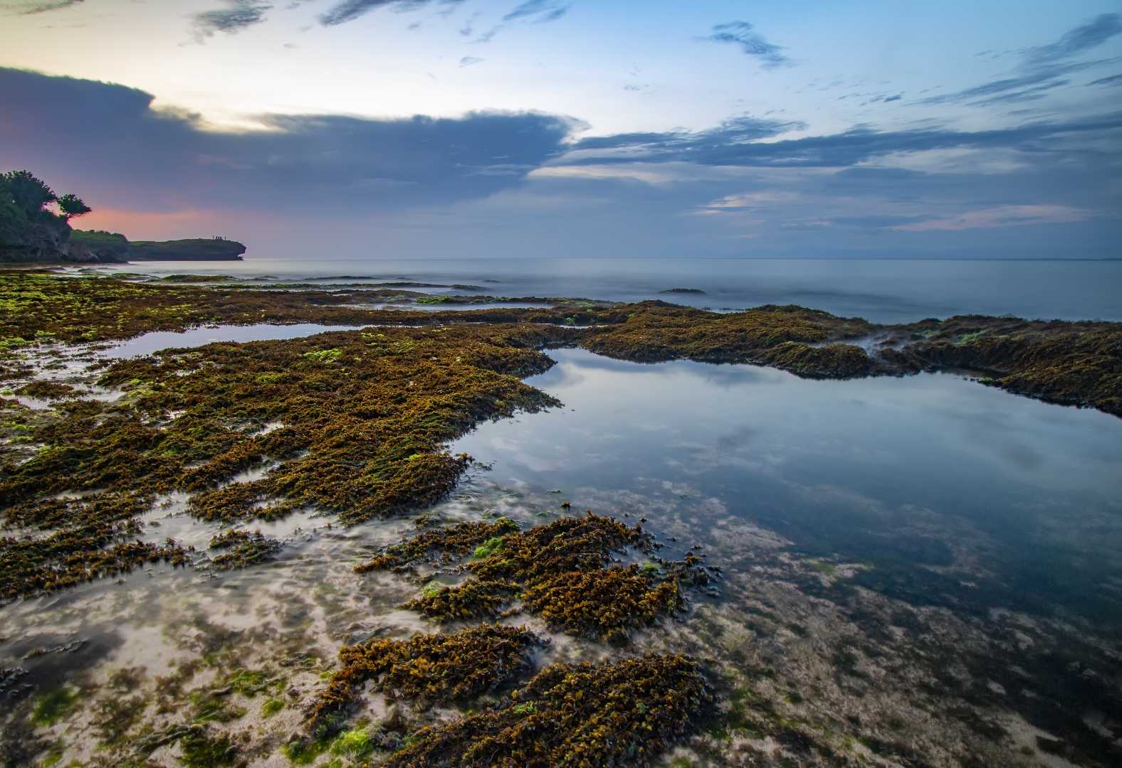 Pantai Tunggak Sabo