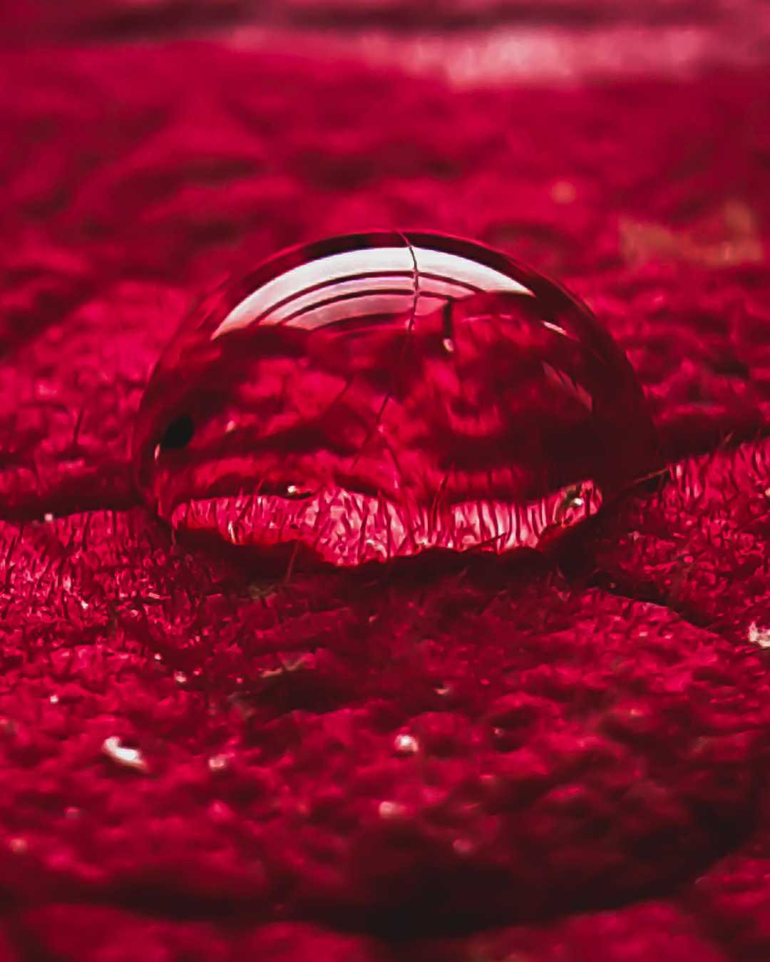 Shining Drop