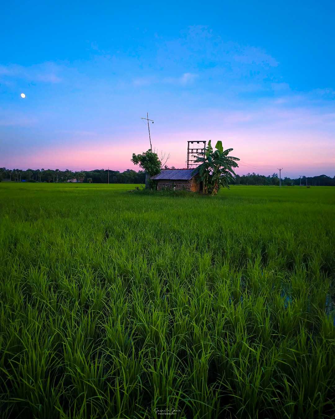 beauty of Bengal..... 