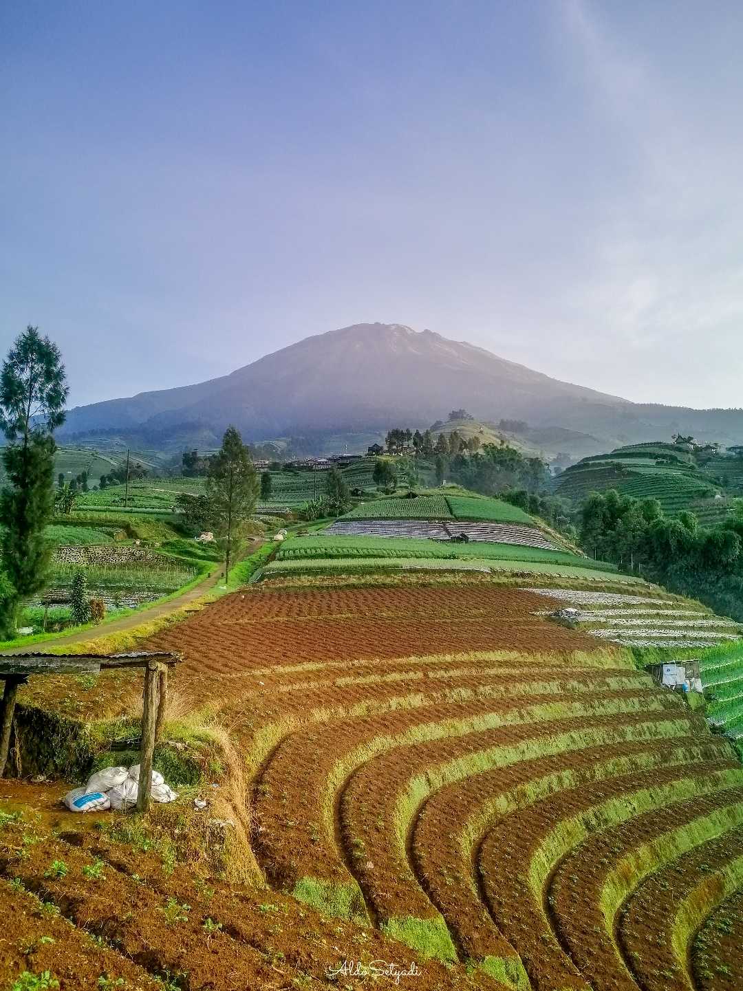 terasering ladang pertanian