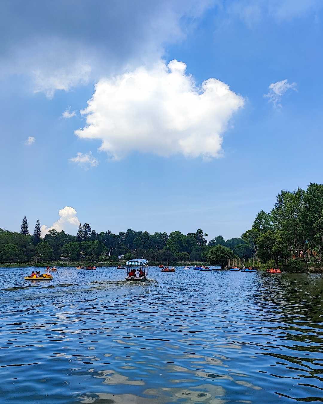 Yercaud lake