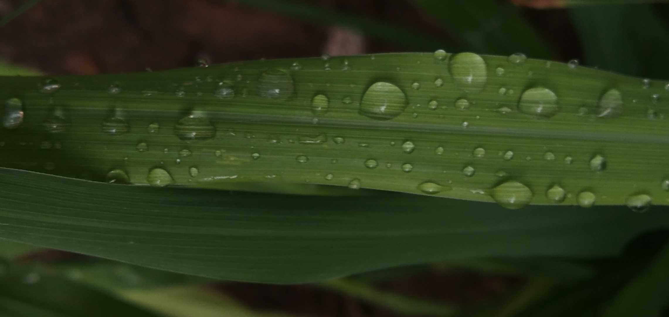 water drop