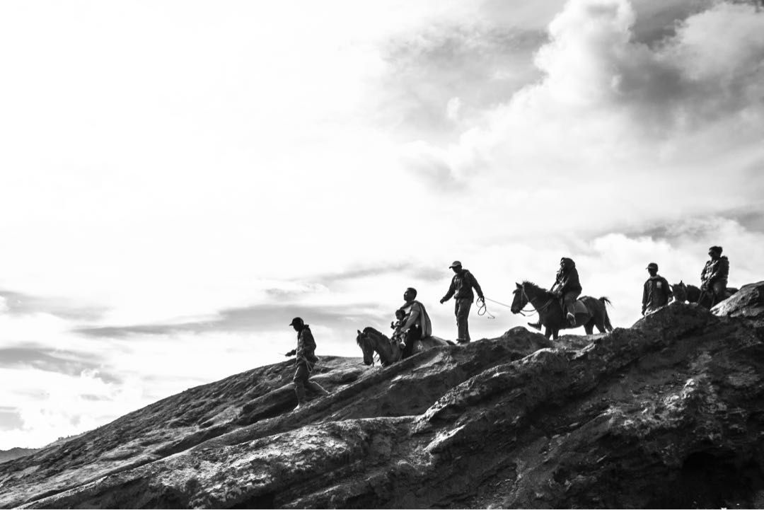 Joki Kuda Bromo