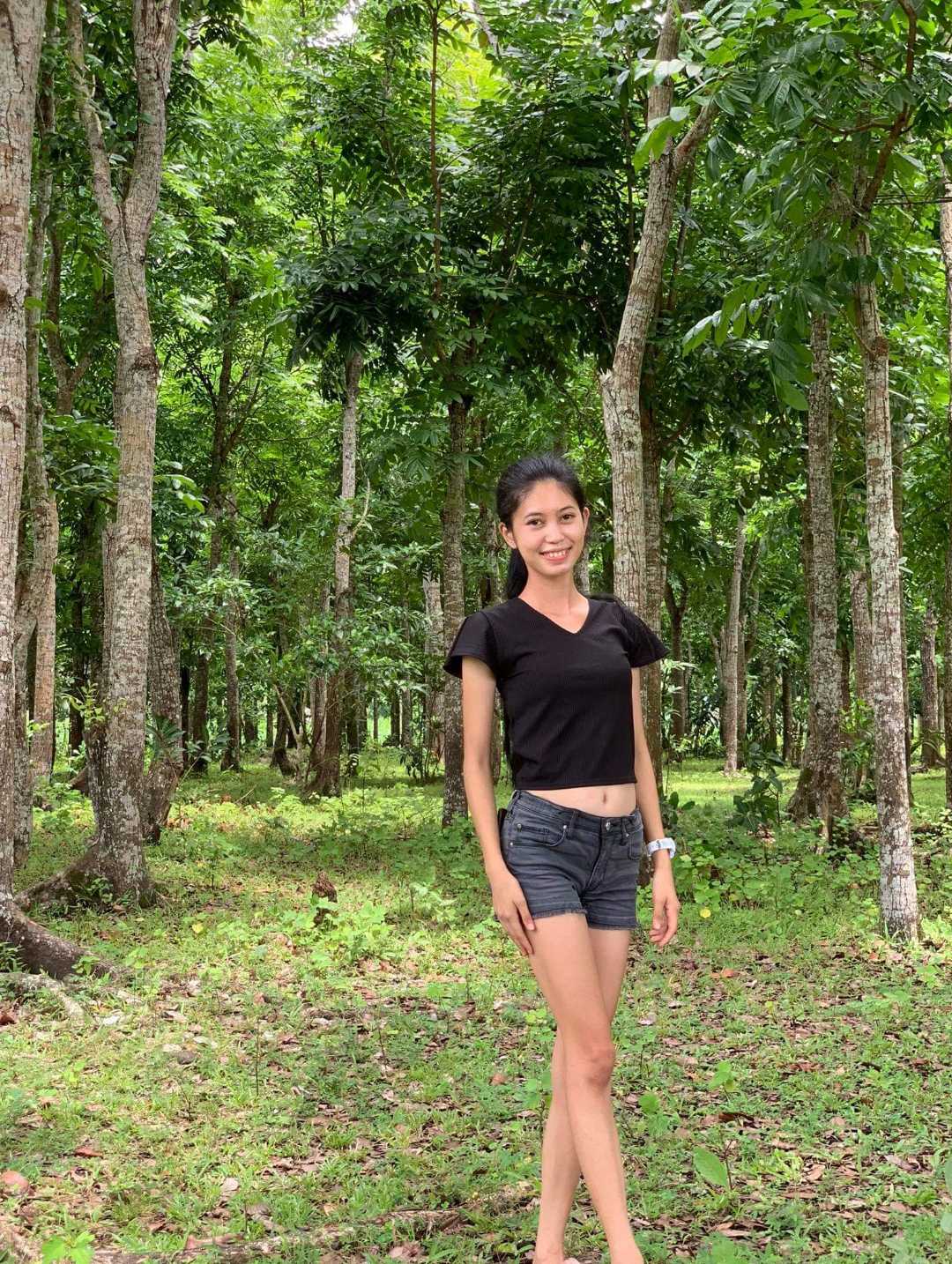 🌳🌳