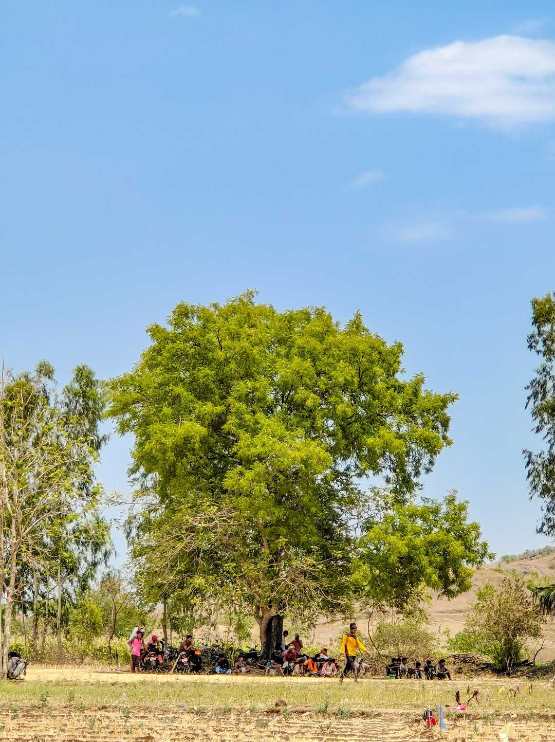 plz save tree 